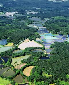 Foto: obx-news