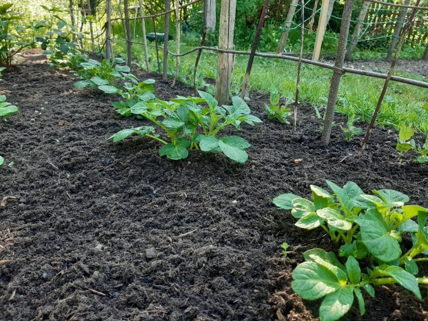 Patzer Erden_hochwertige Erde3.jpg