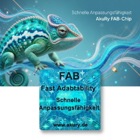 Schnelle Anpassung.jpg