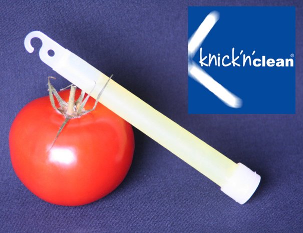 knicknclean mit Tomate_Logo.jpg