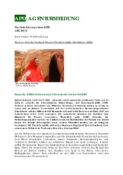 APD_165-2017.pdf