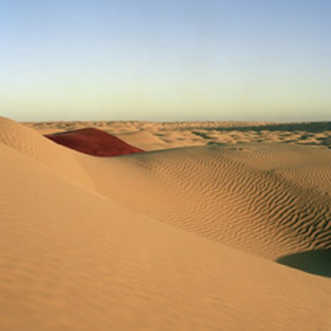 Sahara afternoon.jpg