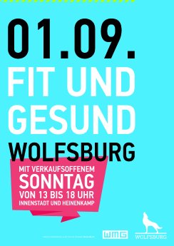 20190805 Fit und gesund VOS 2019 Plakat, (c) WMG Wolfsburg.jpg
