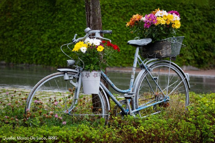 Fahrrad.jpg