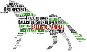 pferd-ballistol-animal-pflege[1].jpg