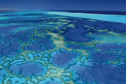 BarrierReef_Neukaledonien.jpg