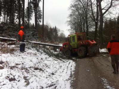 Sturm Niklas Solling (Foto Glanz)