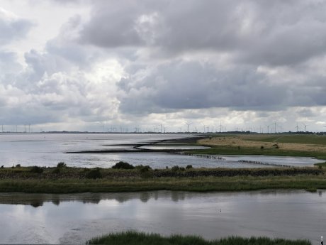 Nordsee-FotoMHC.jpg