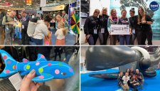 Die Gesellschaft zur Rettung der Delphine e.V. (GRD) auf der boot 2024