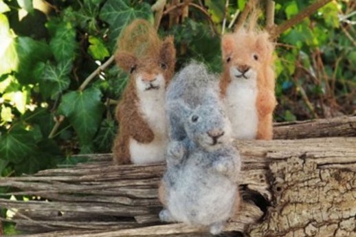 MoorIZ_Filz-Eichhoernchen_ CC BY.jpg
