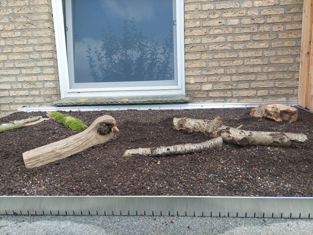 Dachbegrünung_frux_2024a.jpg