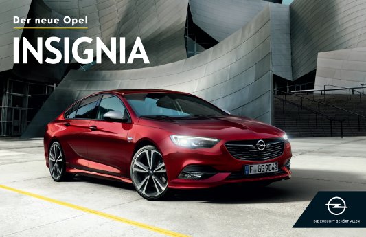 Opel-Insignia-Kampagne-307255.jpg