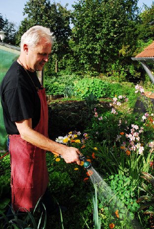 REGENWASSER GARTEN-o.jpg