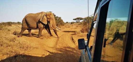 Elefantensafari.JPG