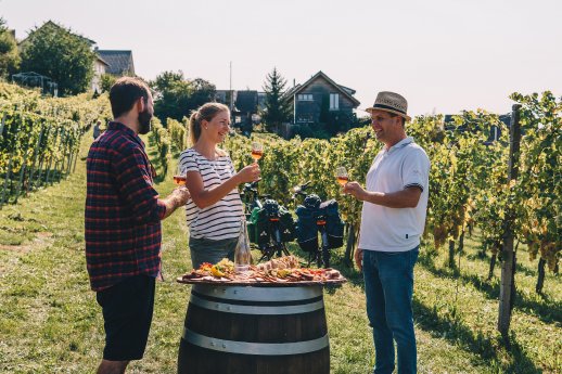 Bad Bellingen-Bamlach_Vesper_Reben © Chris Keller_Schwarzwald Tourismus.jpg