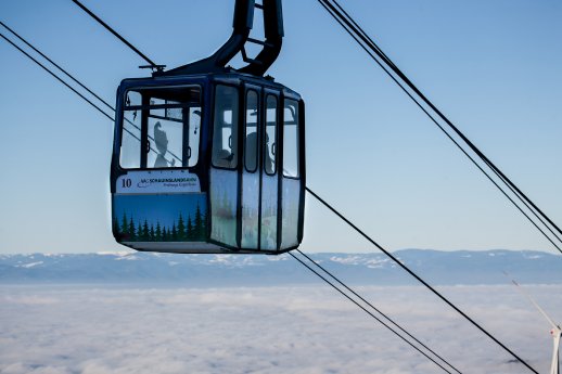 Inversion 2 - Copyright AnjaThölking.jpg