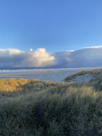 Strand Kurverwaltung Juist.jpeg