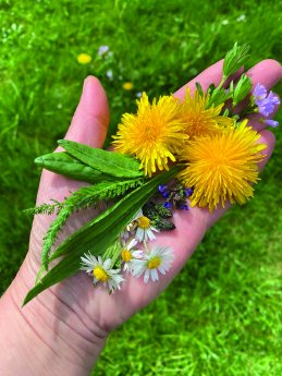 PM_2026_04_13_Einheimisches Superfood im Klinikpark_CMYK_300dpi.jpg