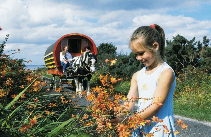 Picking flowers.jpg