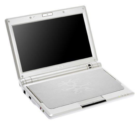 SLIP10-asus_eee1000.jpg