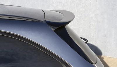 Dachspoiler S213