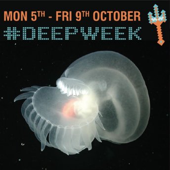 Deep-Week-04.JPG