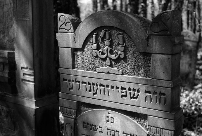(10) Ausstellungseröffnung „Haus der Ewigkeit – Jüdische Friedhöfe im mitteleuropäischen Ku.jpg