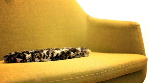 flatcat Hauptproduktbild- flatcat liegt flach auf dem Sofa.