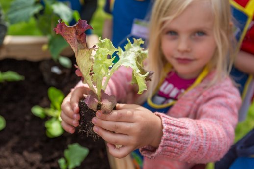 EDEKA Stiftung_PI_Ge~ebeete für Kids.jpg