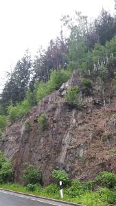 Borkenkäfer verursachen Baumfällarbeiten an den Steilhängen im Okertal