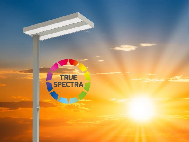 Blogbild ASSISTsunlike-1772x1329.webp