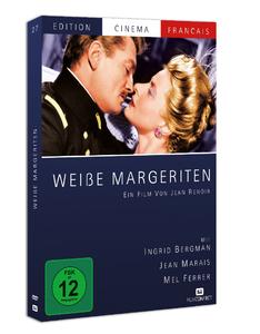 Weisse Margeriten
