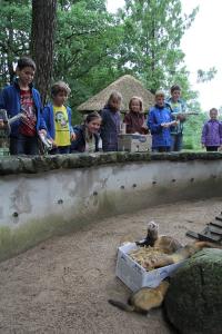 Wildpark MV Sommerferienspaß Tierbeschäftigung