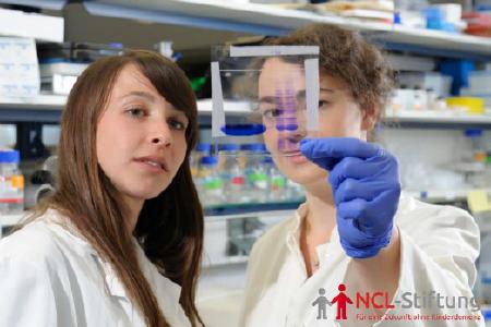 Forschung im Kampf gegen die NCL-Erkrankung (Bild: NCL-Stiftung/Quelle: QuintilesIMS)