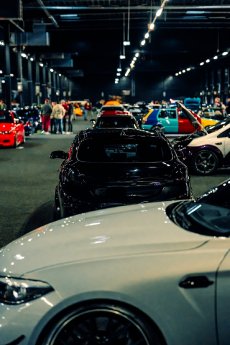 CARLOVE United - © CARLOVECrew   (6).jpg