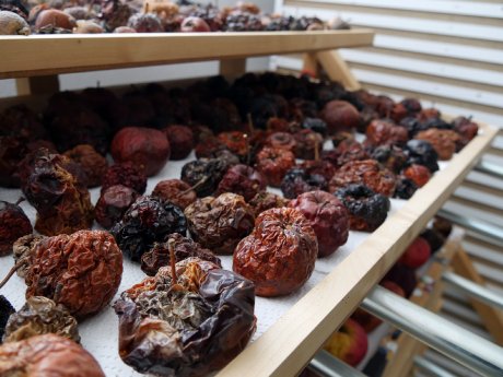 web ArsCubis Früchte dehydriert 2 ©Claudia List.jpg