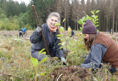 Die freiwilligen Baumpflanzerinnen Klara Fellgiebel aus Jena und Julia Kauth aus Flensburg setzen beim Bergwaldprojekt Erlen als Pionierbäume auf einer Borkenkäfer-Kahlfläche bei Braunlage