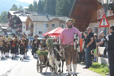Auch Goaßböcke sind mit dabei beim Almabtrieb / © Wildschönau Tourismus