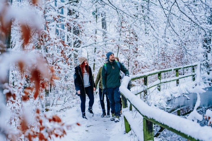 Wanderung rund um den Eichenberg