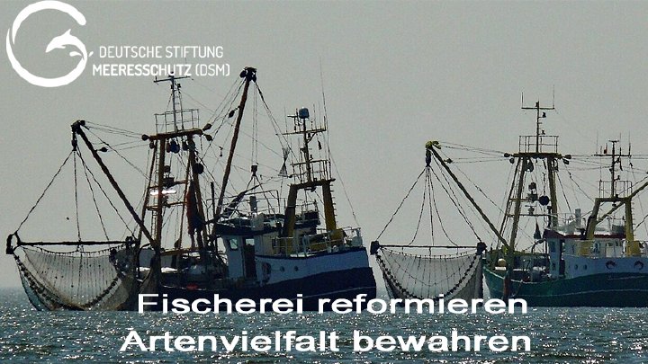 Zur 24. Sondersitzung der Fischereikommission ICCAT in Limassol, Zypern