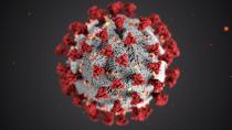 Coronavirus COVID-19 – Das solltet Ihr wissen! / UPDATE zu den Lockerungen / Hinweise zu Busreisen
