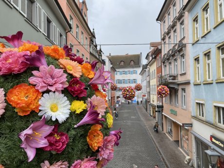 BlumenBaelle-Konstanz-Nahaufnahme-2_Bildrechte_MTK.jpeg