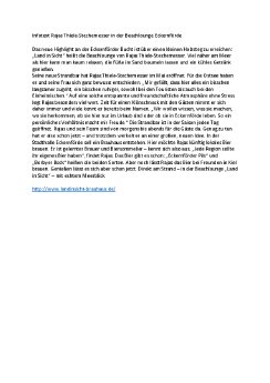Infotext Rajas Thiele-Stechemesser.pdf