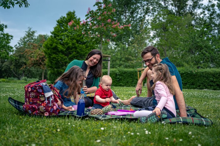 Familien Picknick auf der großen Wiese.jpg