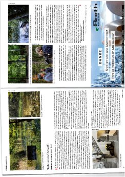 Ein_Waldes_Echo_Baumetallbericht.pdf