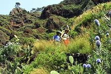 Madeira, Wandern individuell