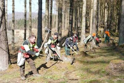 Ein 200 Hektar großes Waldgebiet zwischen der Eckertalsperre und der B4 muss neu bewaldet werden. Pausenlos sind Forstwirte noch bis nach Ostern mit den Pflanzarbeiten beschäftigt