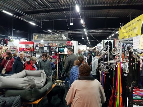 hundundkatze Kalkar 3.jpg