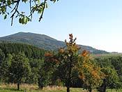 panorama 01