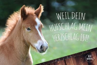 Postkarte_HipHorses_01.jpg